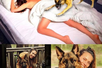 Gefährliche Tierliebe: Wie das Schlafen mit ihrem Hund Julia fast das Leben kostete