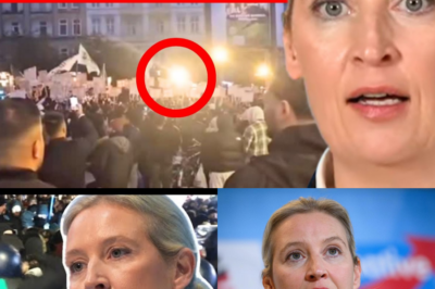 Weihnachtsmärkte als Festungen und islamische Parolen: Ein virales Video aus Hamburg enthüllt die bittere Realität, über die der Mainstream schweigt