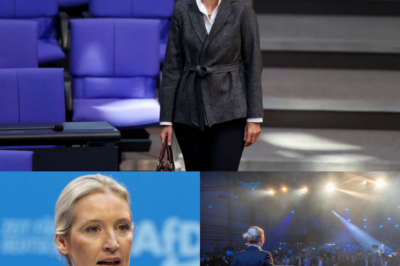 Der Mainstream schweigt laut: Alice Weidel beim Friedenstreffen in Prag und niemand berichtet – Frank Höfer packt aus!