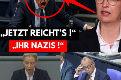 „Ihre Koalition der Willigen ist eine Koalition der Verlierer!“ – Alice Weidel zerlegt Friedrich Merz und seine gebrochenen Versprechen live im Bundestag