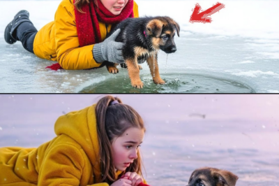 Das kleine Mädchen zog den Welpen aus dem Eisloch…Aber sie hatte KEINE AHNUNG, was als Nächstes…_d