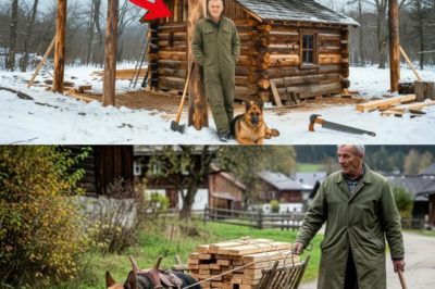 Die Nachbarn spotteten, als er mit seinem Hund ein Doppeldach baute, bis es ihr Leben im Schneestu ddd