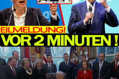 Richter-Schock in Berlin: Der 11,5-Milliarden-Ukraine-Plan von Merz gerät ins Wanken und die AfD erhöht den politischen Druck massiv