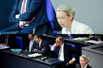 Demokratie am Abgrund: Alice Weidel entlarvt den geheimen 50-Millionen-Plan von Friedrich Merz zur Manipulation der Bundestagswahl