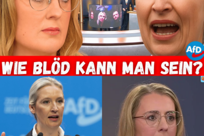 Studio unter Schock: Berliner Rentner treibt Regierung in die Enge – „Ich würde arbeiten, aber der Staat nimmt mir alles!“