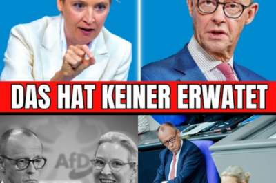 Historischer Eklat bei Anne Will: Bundeskanzler Friedrich Merz flüchtet live im Fernsehen vor Alice Weidels Enthüllungen
