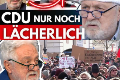 Broder zerlegt den CDU-Wahnsinn: Warum plötzlich Weihnachtsbäume als Gefahr gelten und die Politik sich in Fiktionen verliert