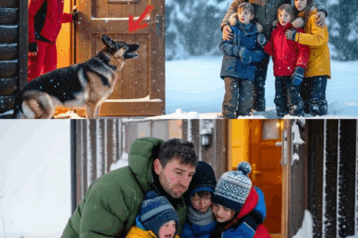 Die Nacht, als der Schwarzwald gefroren war: Wie ein verzweifelter Vater, ein Schäferhund und eine Rettungssanitäterin gegen den Tod kämpften und dabei eine neue Liebe fanden