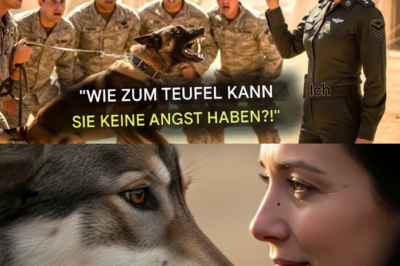 Der Militärhund gehorchte niemandem – bis eine Veteranin ein Wort sprach