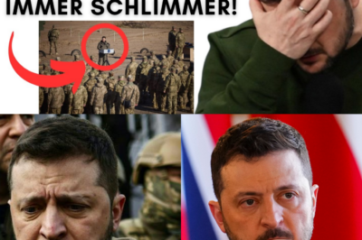 Schamloses Theater in Kiew: Selenskyjs Korruptions-Bluff und die dreiste „Ewige Rechnung“ an Europa