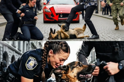 Mafioso-Sohn greift Polizistin und ihren K9 an — ein Navy SEAL änderte alles
