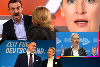 Alice Weidel im emotionalen Ausnahmezustand: Der Moment als die AfD-Chefin im Bundestag das Wort ergriff und die politische Konkurrenz direkt konfrontierte