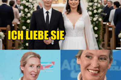 Nach Jahren des eisernen Schweigens: Alice Weidels emotionales „Ich liebe sie“-Geständnis erschüttert Berlin und entfacht eine historische Debatte über Authentizität