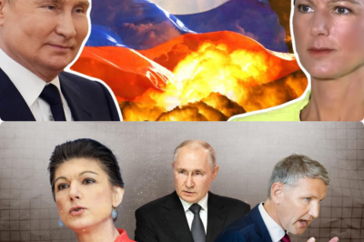 Hinter den Kulissen des Kremls: Die brisante Wahrheit über Wladimir Putins strategischen Blick auf Sahra Wagenknecht und die AfD