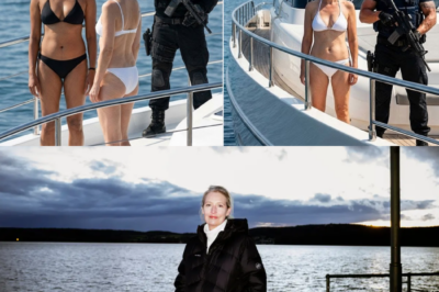 Das Millionärs-Leben der Alice Weidel: Eine Reise hinter die Fassade aus Macht, Geld und politischer Inszenierung