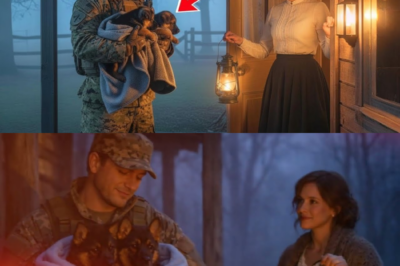 „Nur für diese Nacht… bitte“, sagte der Soldat — was sie erwiderte, veränderte alles. – YouTube