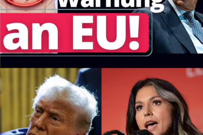 Geheimdienst-Beben in den USA: Tulsi Gabbard enthüllt Sabotage der Friedenspläne durch den „Deep State“