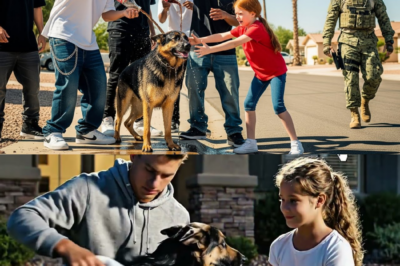 Sie warfen Coca-Cola auf einen Hund – ohne zu wissen, dass sein Besitzer ein Navy SEAL war.
