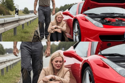 Am Heiligabend Hatte Das Auto Der Millionärin Eine Panne — Bis Ein Armer Mechaniker Erschien… 