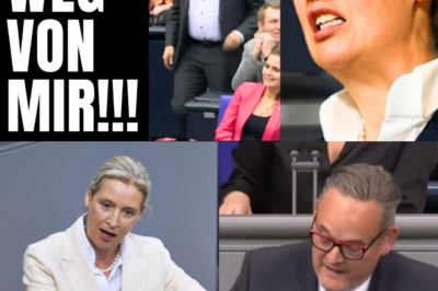 Eklat im Bundestag: AfD-Abgeordneter Reichardt bringt Stegner zur Weißglut – „Schließen Sie diesen Hetzer aus!“