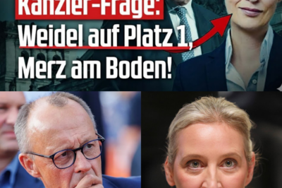 Kanzler-Frage unter Schock: Alice Weidel überholt Friedrich Merz – Die Altparteien am Abgrund