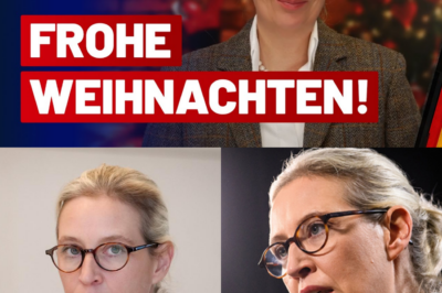 Zwischen Stillstand und Hoffnung: Ein dringender Weckruf zum Weihnachtsfest für die Zukunft Deutschlands