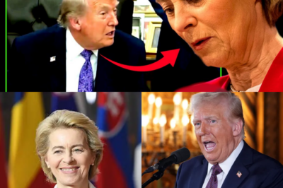 Diplomatisches Beben: USA drohen von der Leyen und Merz mit Einreisesperren wegen Zensur-Plänen