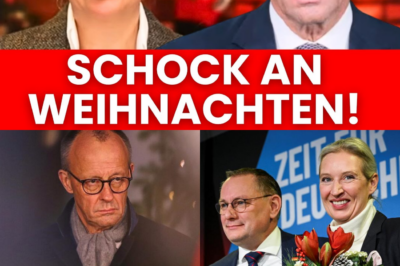 Weihnachts-Eklat im Netz: Alice Weidel entlarvt die „Kanzlermehrheit“ von Friedrich Merz – Ein politischer Offenbarungseid
