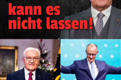 💥Die SCHOCKIERENDE Wahrheit über Steinmeiers Weihnachtsansprache ddd