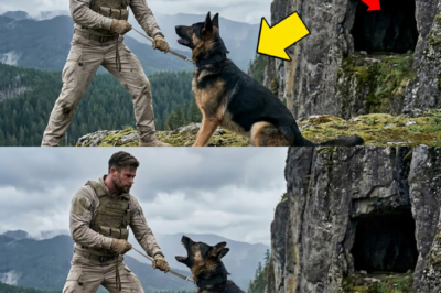 K9 bellt unaufhörlich – Entdeckung imCanyon schockiert die ganze Welt! 