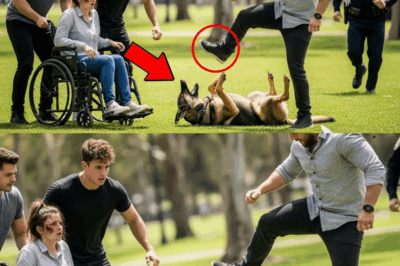 Reiche Kinder mobbten eine Frau im Rollstuhl und traten ihren Hund – bis ein Navy SEAL eingriff