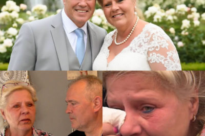 Das Ende einer Ära? Silvia Wollny gesteht die bittere Wahrheit über Harald und das bröckelnde Familienimperium