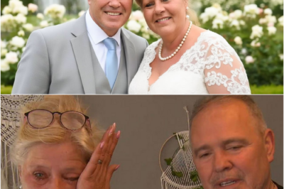 Zwischen TV-Ruhm und Trümmerhaufen: Das bittere Geständnis der Silvia Wollny über das Verschwinden von Harald