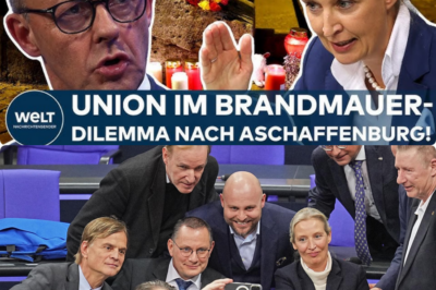 Das Ende der Brandmauer: Alice Weidels historischer Vorstoß im Bundestag treibt Friedrich Merz in die Isolation und führt die AfD zur absoluten Mehrheit