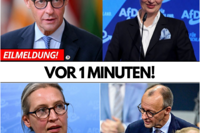 Politische Offenbarung unter dem Weihnachtsbaum: Warum das Duell zwischen Merz und Weidel die Kanzler-Fantasien der Union zerplatzen lässt