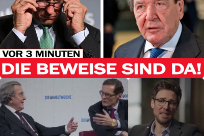 Der Todesstoß aus den Schatten: Wie Gerhard Schröder die Kanzlerschaft von Friedrich Merz mit einer einzigen Enthüllung in Trümmer legte