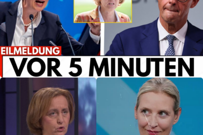 Offiziell: Von Storch im Fokus – Warum die AfD jetzt die strategische Initiative übernimmt und Kanzler Merz vor dem politischen Scherbenhaufen seiner Amtszeit steht