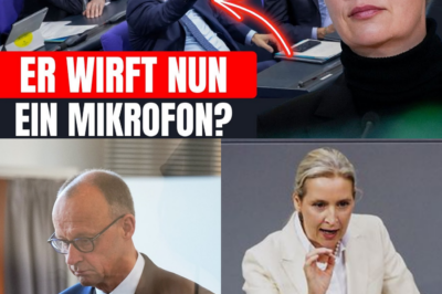Eklat im Plenum: Alice Weidels Generalabrechnung treibt Friedrich Merz aus dem Saal