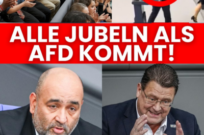 Beben im Bundestag: Jubelstürme für Stefan Brandner und die Forderung nach echter Politikerhaftung