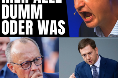 „Wir sind abgehängt!“ – Wut-Unternehmer rechnet in TV-Show gnadenlos mit Merz und den Altparteien ab