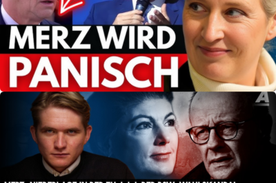 „Merz macht immer Fehler“: Von Luckes gnadenlose Abrechnung mit 2025 und die düstere Prognose für 2026