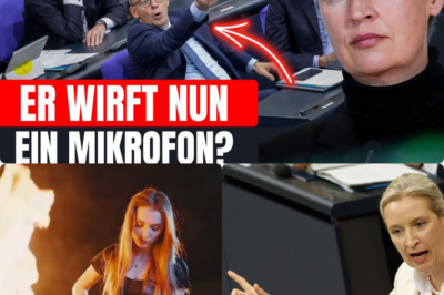 Historischer Eklat im Bundestag: Friedrich Merz verliert die Beherrschung und stürmt nach Weidel-Rede wutentbrannt aus dem Saal