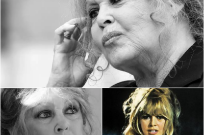 Schillernder Jahrhundert-Filmstar Brigitte Bardot ist tot