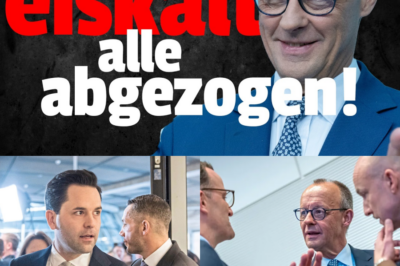 Pensions-Pakt-Beben! Merz demütigt eigene Junge Union: Antrag plötzlich gestrichen – Droht jetzt die Ablehnung des Rentenpakets?