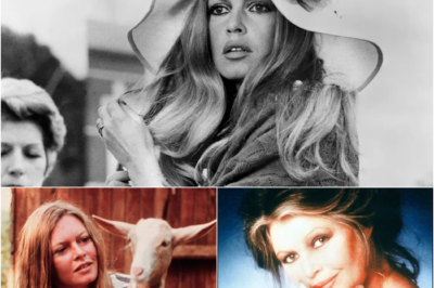 Film-Ikone Brigitte Bardot ist tot:„In Erinnerung bleiben möchte ich als Fee der Tiere“
