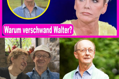 Das Rätsel um Walter: Warum der Publikumsliebling im großen „Bauer sucht Frau“-Finale plötzlich spurlos verschwand
