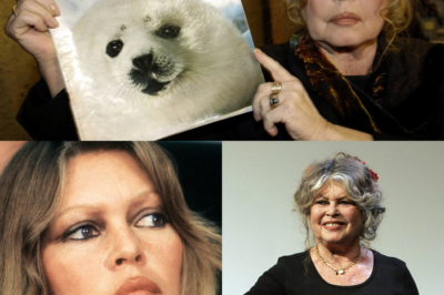 Adieu, B.B.: Frankreich und die Welt trauern um Brigitte Bardot – Eine Ikone, die weit mehr als nur eine Schauspielerin war