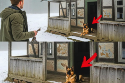 Niemand wollte das Haus, bis der Hund das unbezahlbare Geheimnis enthüllte…  dddddddd