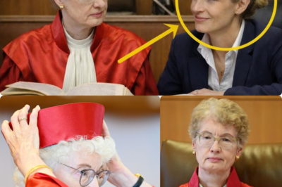 DAS DUELL IN KARLSRUHE: WIE RICHTERIN KÖNIG ALICE WEIDEL STELLEN WOLLTE UND DABEI EINE JURISTISCHE MEISTERLEISTUNG DER AFD-CHEFIN PROVOZIERTE