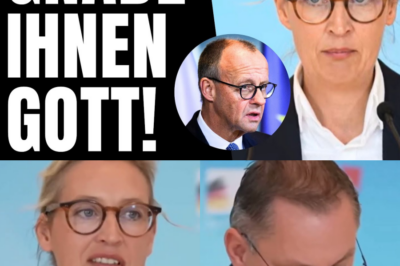 🚨 S-C-H-O-C-K! MERZ STÜRZT AB! GEHEIME AKTEN BEWEISEN: ER WOLLTE WIRKLICH KANZLER WERDEN! 😱💸